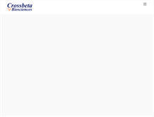Tablet Screenshot of crossbeta.com